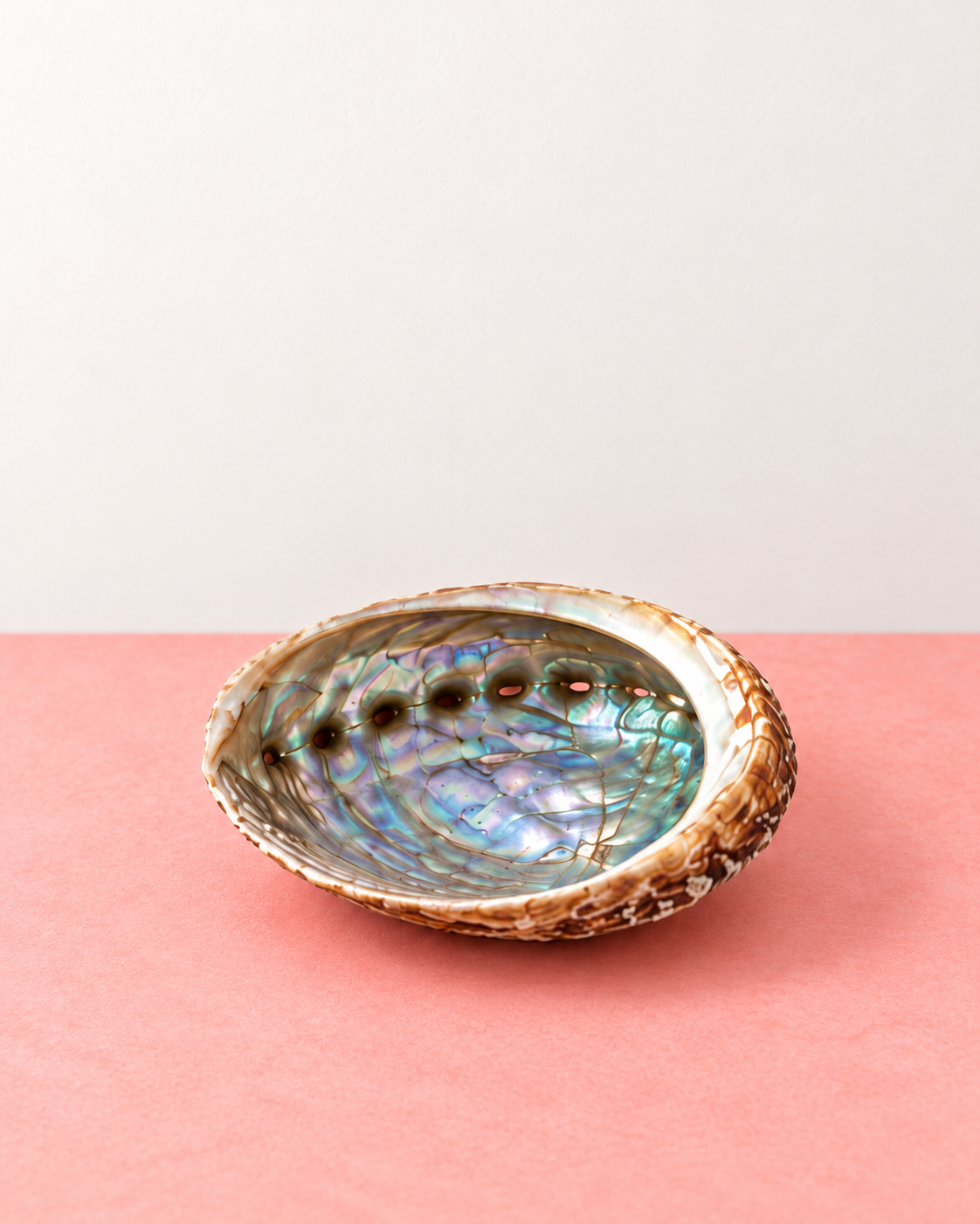 Sage Stick / Abalone Shell