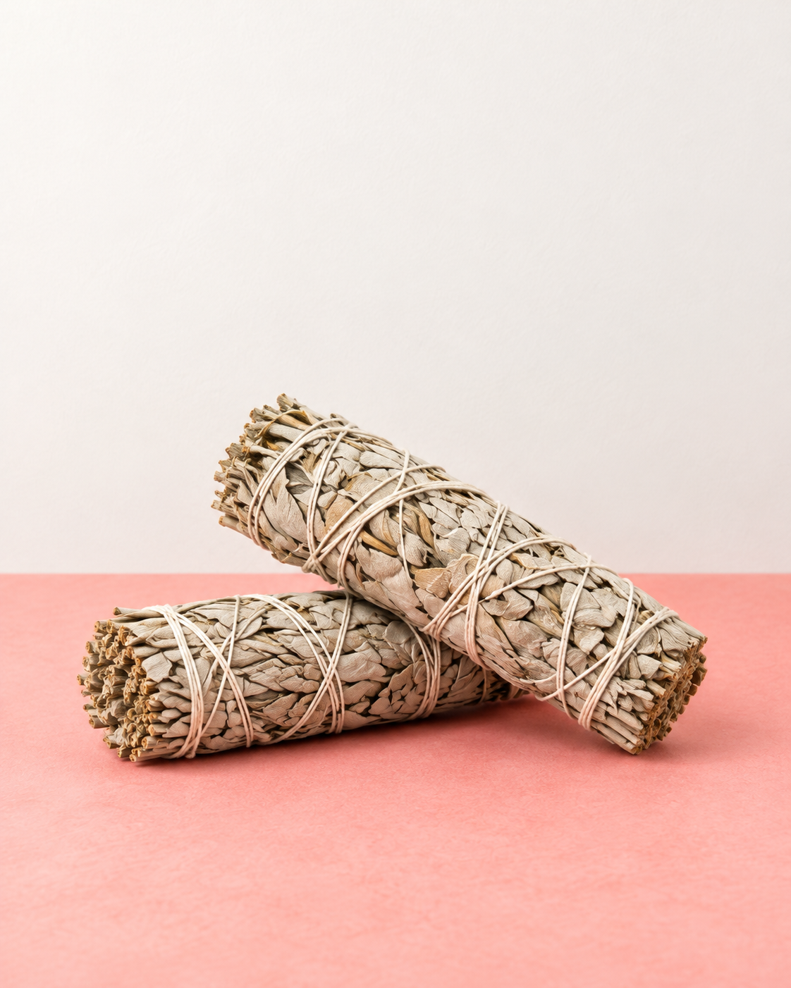 Sage Stick / Abalone Shell