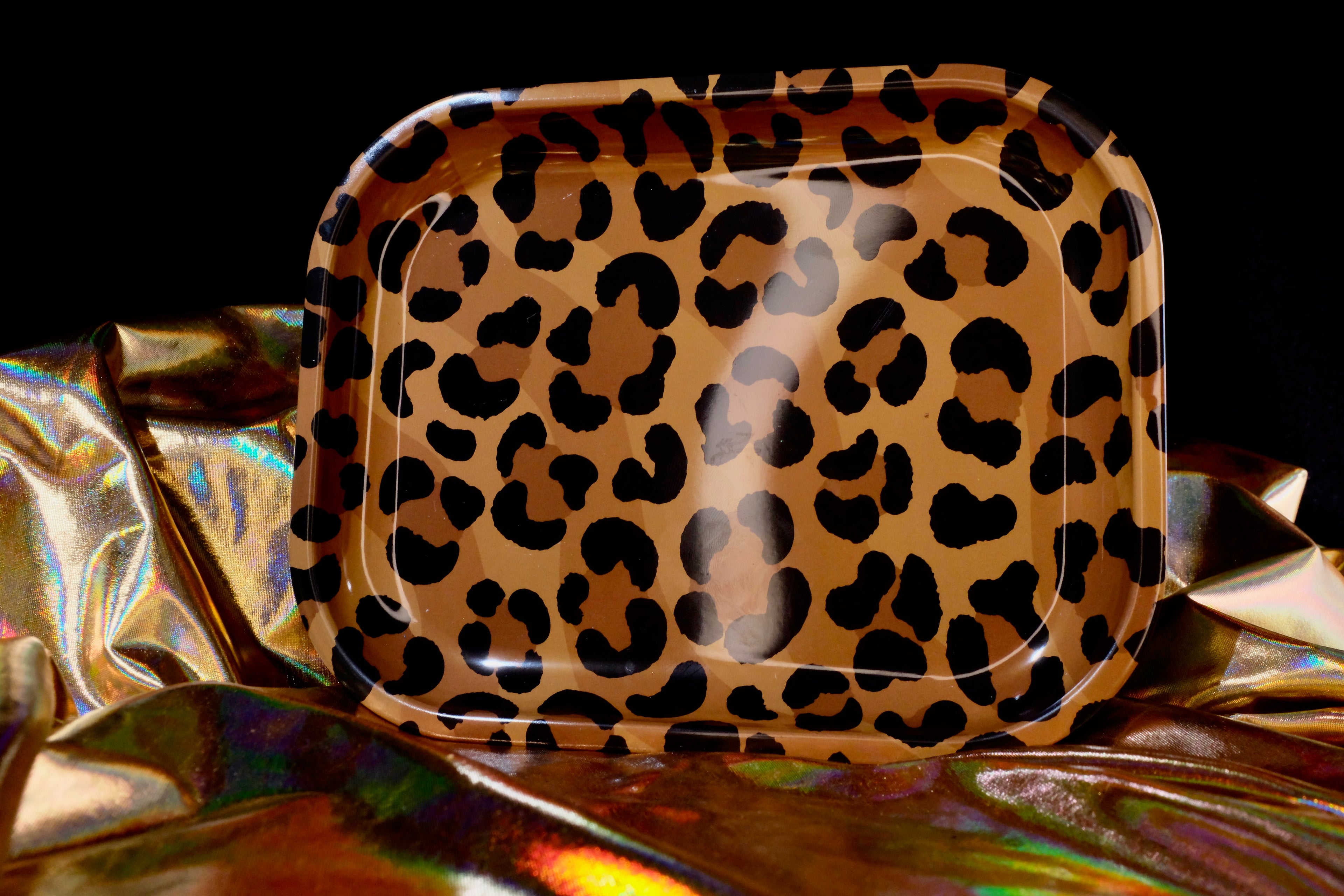 Roll Up and Roar Leopard Gone Wild Don't Say I Didn't Warn You Bundle