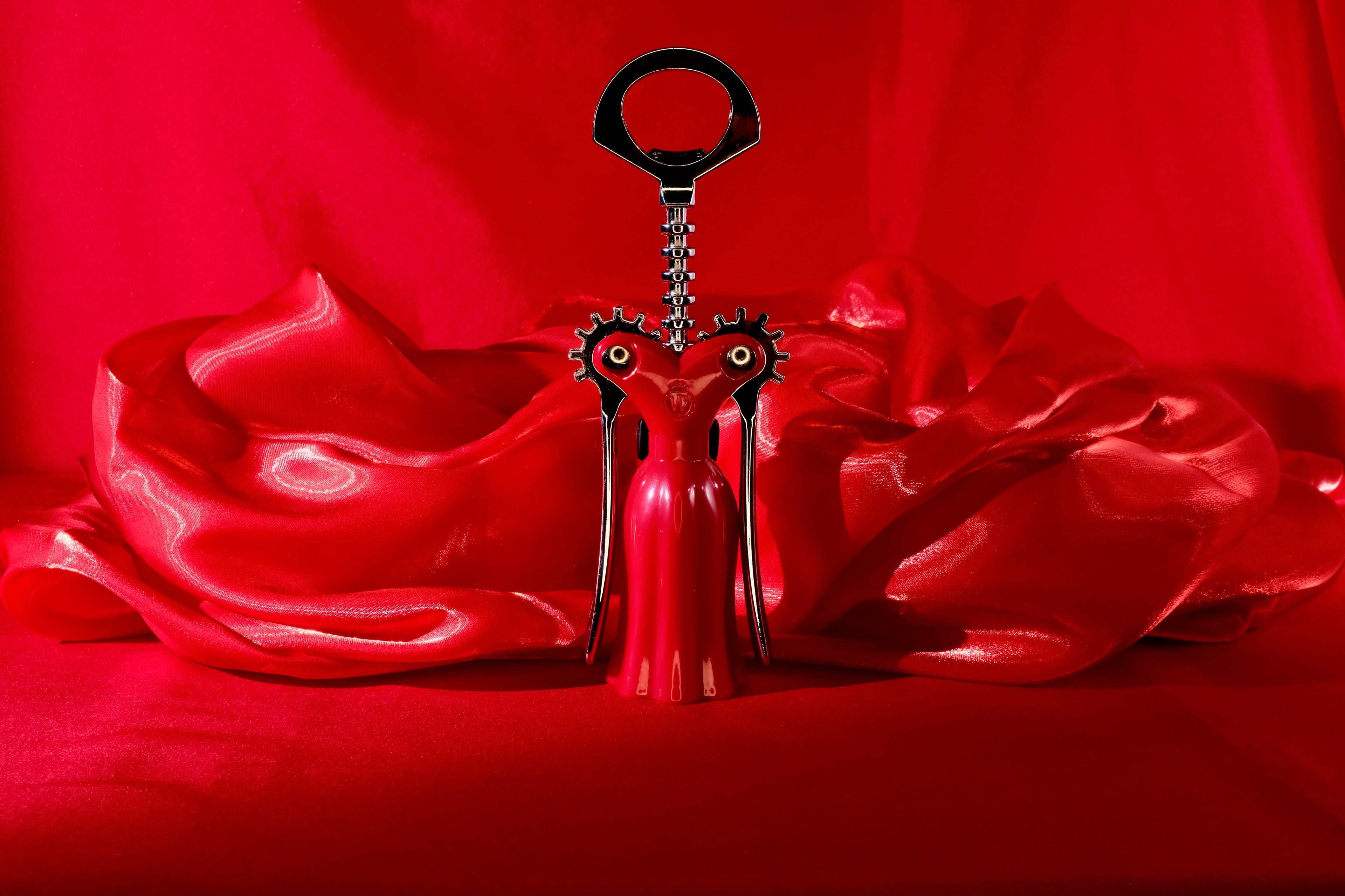 Fashion Wine Set — Red Dress Edition